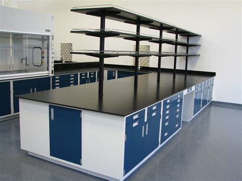 steel laboratory cabinets|laboratory storage cabinet with bins.